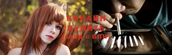 сатива Каменск-Шахтинский