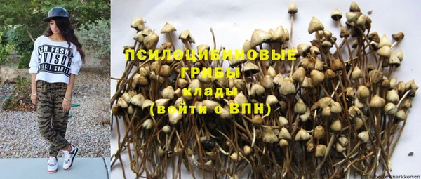 дживик Дмитров