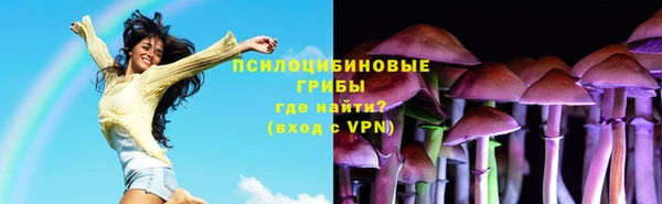 винт Дмитровск