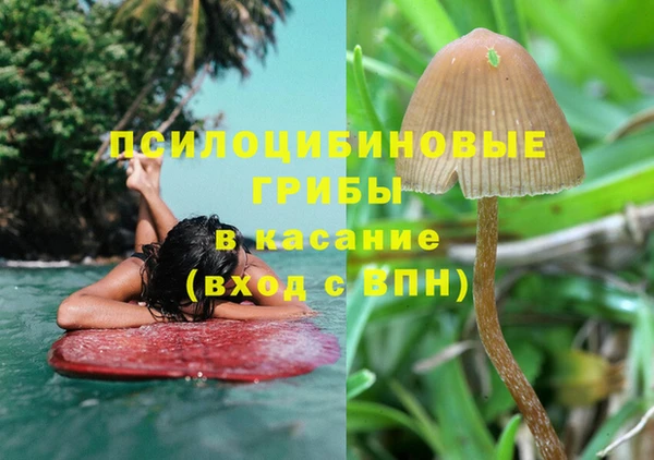 дживик Дмитров