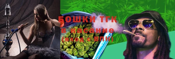 дживик Дмитров