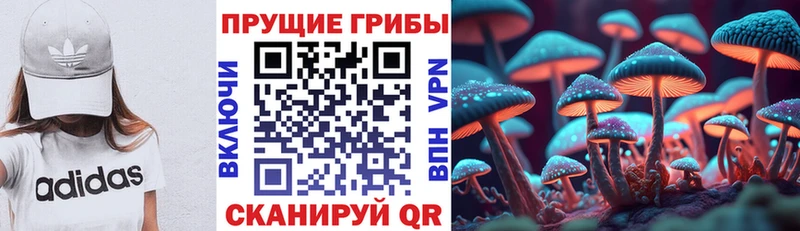 Галлюциногенные грибы прущие грибы  Купить  Новоалтайск 